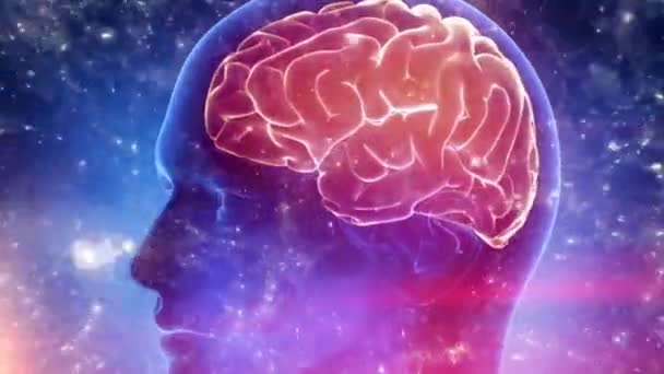 Human brain medical cyber background - Footage, Video
