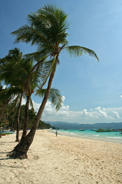 Boracay île plage palmiers
 - Photo, image