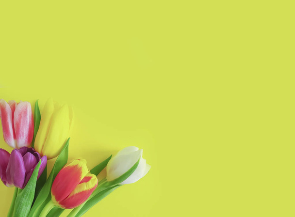 Květinový rámeček barevný pozadí - Fotografie, Obrázek