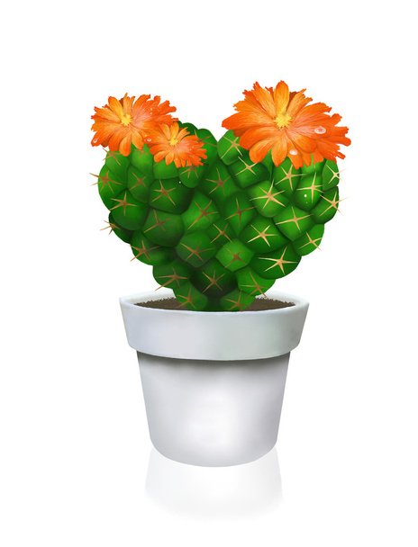 Sydämen kaktus valkoisella potilla
 - Valokuva, kuva