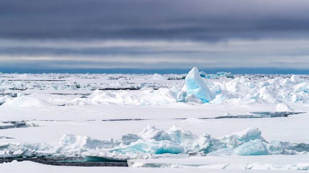 Pak ijs op 80 graden Noord, van de noordelijke kust van Spitsbergen en in de poolcirkel. - Foto, afbeelding