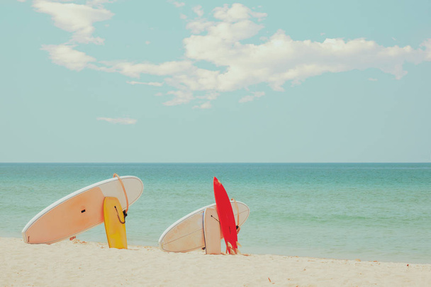 海景穏やかな海と空の背景を持つ砂の熱帯のビーチのサーフボード。夏休みの背景とウォータースポーツのコンセプト。レトロな色調効果. - 写真・画像