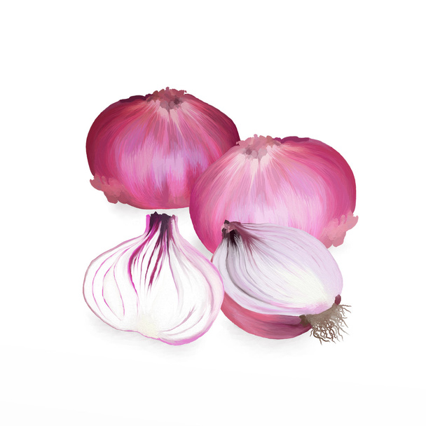 Red Onions and Sliced in Half Isolated on White Background - Photo, Image
