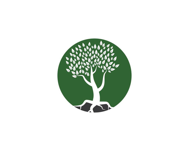 Tree icon logo template - Vector, Image