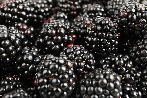 Fresh blackberry on whole background, close up - Photo, Image