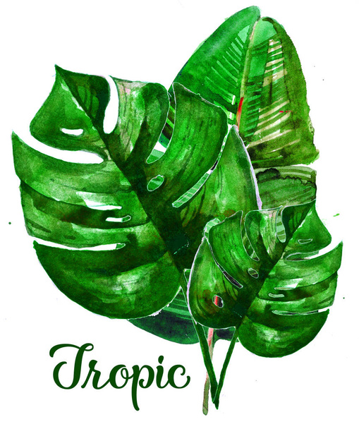 handpainted green tropical leaves, watercolor tropical, wedding card, sale mock up. monstera, banana leaf, palm leaf - Foto, Imagem