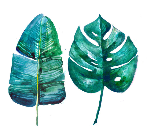 handpainted green tropical leaves, watercolor tropical, wedding card, sale mock up. monstera, banana leaf, palm leaf - Φωτογραφία, εικόνα