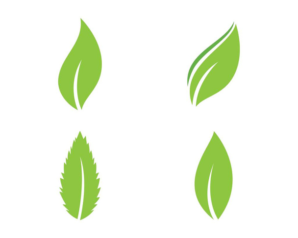 Zöld levél ökológia természet elem  - Vektor, kép