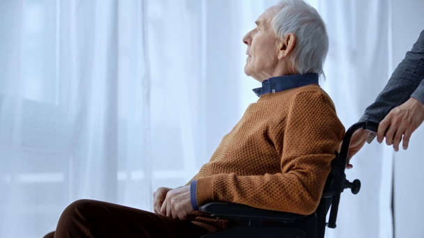 nyírt kilátás az ember nyomja kerekesszékkel fogyatékos Senior Man  - Felvétel, videó