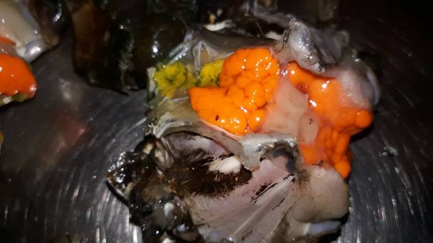 crabes frais crus nettoyés avec des œufs jaunes prêts pour la cuisson
 - Photo, image