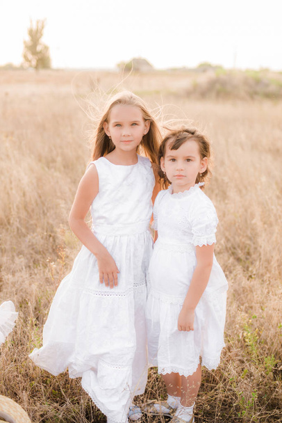 Linda niñas hermanas con el pelo rubio en un campo de verano al atardecer en vestidos blancos con un sombrero de paja
 - Foto, imagen