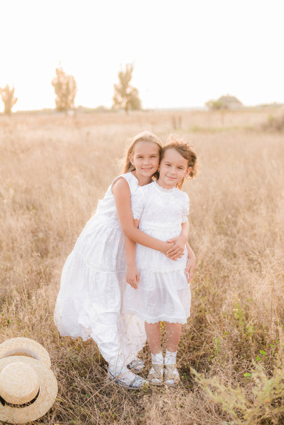 Cute little girls sisters with blond  hair in a summer field at sunset in white dresses with a straw hat - Fotó, kép
