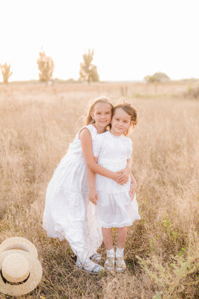Cute little girls sisters with blond  hair in a summer field at sunset in white dresses with a straw hat - 写真・画像