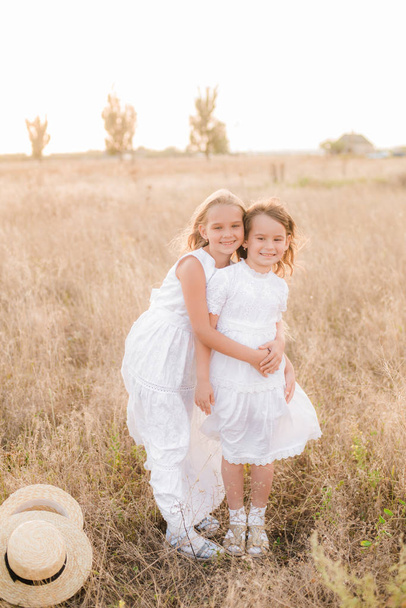 Cute little girls sisters with blond  hair in a summer field at sunset in white dresses with a straw hat - Zdjęcie, obraz