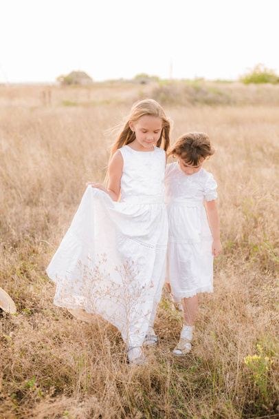 Cute little girls sisters with blond  hair in a summer field at sunset in white dresses with a straw hat - Fotoğraf, Görsel