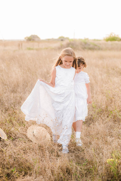 Cute little girls sisters with blond  hair in a summer field at sunset in white dresses with a straw hat - Foto, Imagen