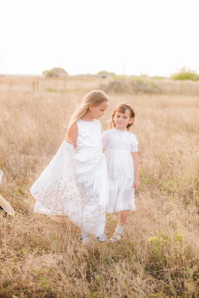 Cute little girls sisters with blond  hair in a summer field at sunset in white dresses with a straw hat - Photo, image