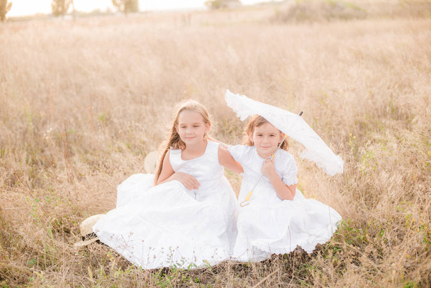 Cute little girls sisters with blond  hair in a summer field at sunset in white dresses with a straw hat - 写真・画像