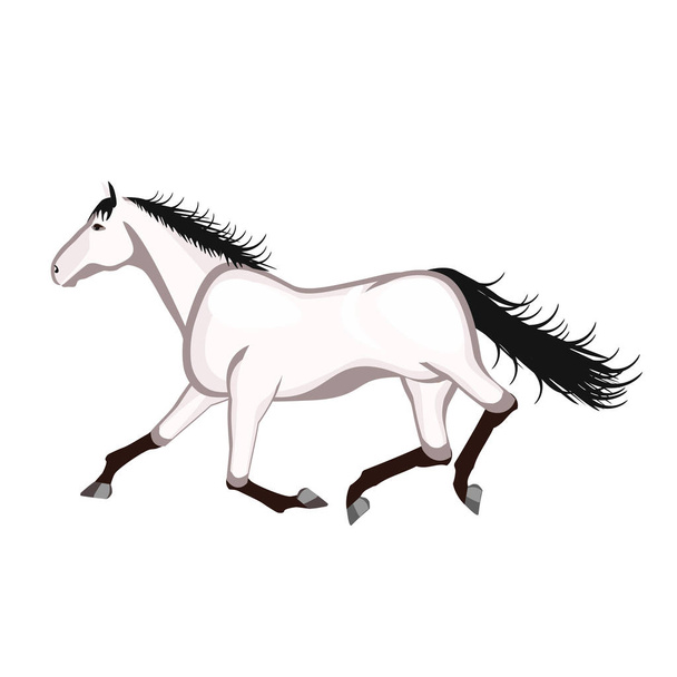 Лошадь бежит на белом фоне
 - Вектор,изображение