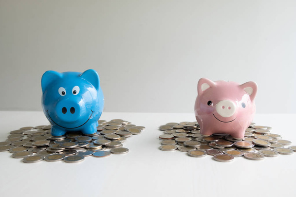 roze en blauwe twee spaarvarken met munten stapel, Step up Help elkaar om succesvol te zijn en te sparen voor het pensioen concept - Foto, afbeelding