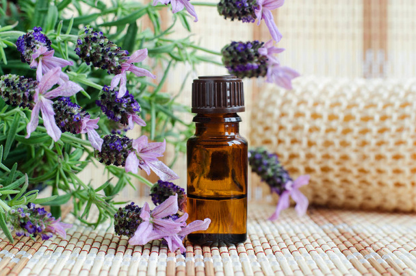 Small bottle with essential lavender oil. Lavandula flowers close up. Aromatherapy, spa and herbal medicine ingredients. Copy space - Photo, Image