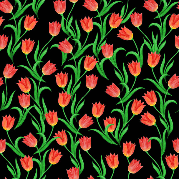 Seamless pattern of tulip flowers  on a black background.  - Photo, Image