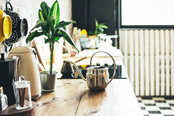 Pracovní plocha kuchyně, interiérové prvky, skandinávský rustikální ekodesign se zelenou rostlinkou - Fotografie, Obrázek