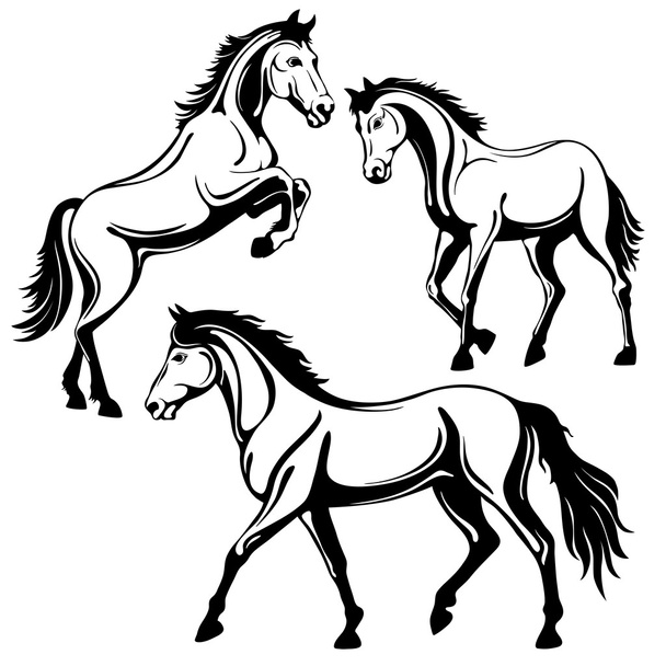 caballo - Vector, Imagen