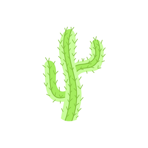 Cute mão desenhado cacto ilustração vetorial. Verde mexicano, cacto deserto com espinhos, isolado
. - Vetor, Imagem