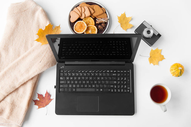 laptop, tea, camera, autumn leaves and sweater - 写真・画像