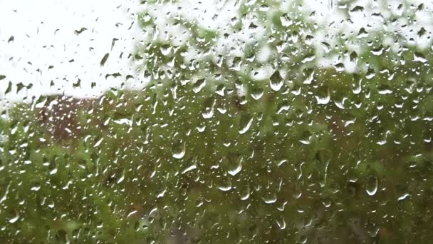 Grote druppels regen stromen door het ruit venster. - Video