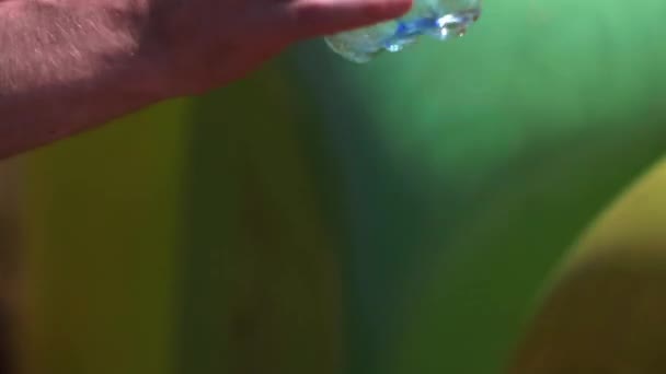 Muž odhazovat prázdnou plastickou láhev do recyklačního koše - Záběry, video