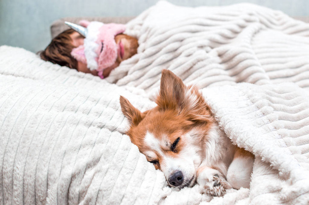 punainen koira nukkuu omistajansa kanssa vaaleanpunaisessa nukkumisnaamiossa sohvalla. Käsite viikonloppu ja levätä
 - Valokuva, kuva