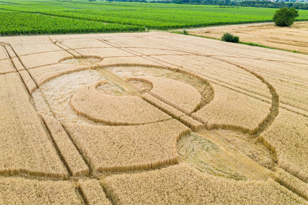 crop circles field Alsace France - Фото, изображение