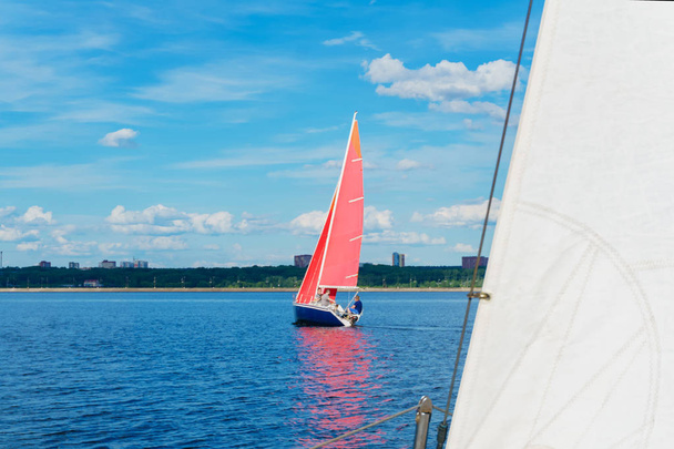 парусник с красными парусами на фоне берега с U
 - Фото, изображение