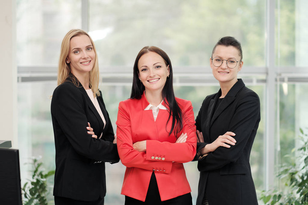 Three young attractive women in business suits posing against the backdrop of a light office. Head and subordinates. Working team of professionals and colleagues. - 写真・画像