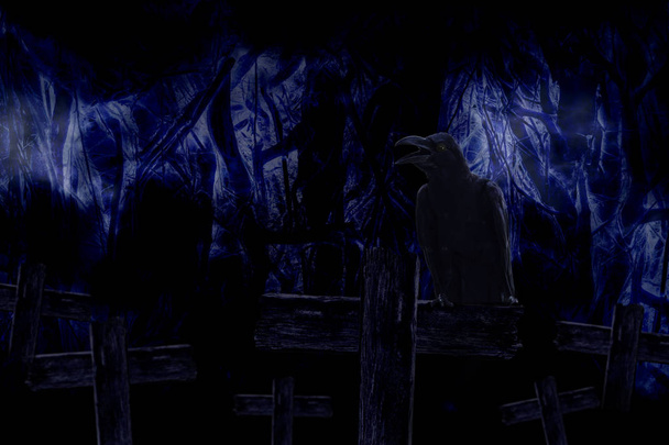 Árvores florestais assustadoras no nevoeiro escuro e leve com o corvo preto sentar
 - Foto, Imagem
