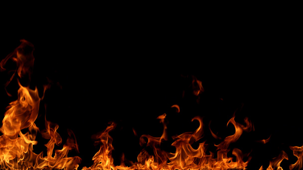 Fire flames on black background. - Photo, Image