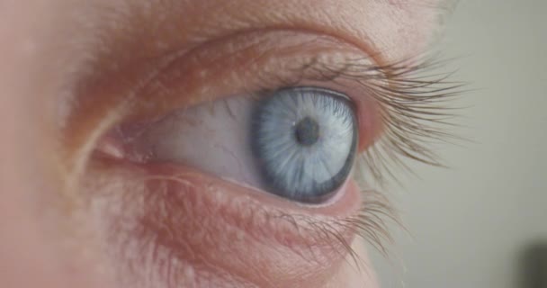 Closeup shoot of beautiful blue human eye with detailed eyelashes looking at camera - 映像、動画