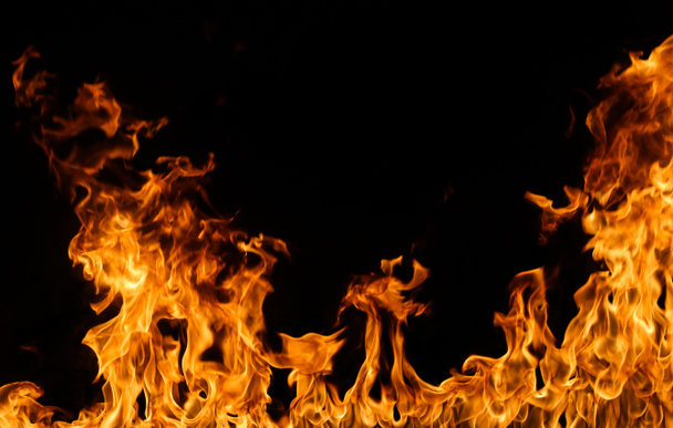 Fire flames on black background. - Photo, Image