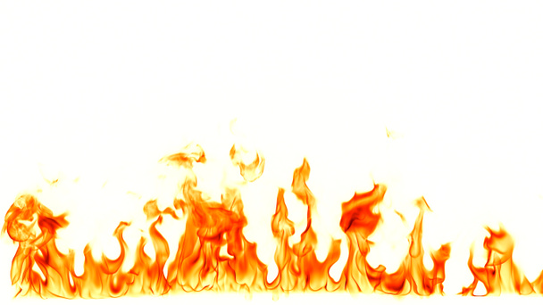Fire flames isolated on white background. - Photo, Image