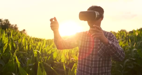 Jövő gazda használ VR szemüveg kezelésére kukorica ültetvények és ellenőrzése a minőségi növények naplementekor a területen - Felvétel, videó