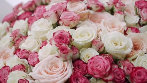 Ένα τεράστιο μπουκέτο από λευκές και ροζ τριαντάφυλλα - Πλάνα, βίντεο