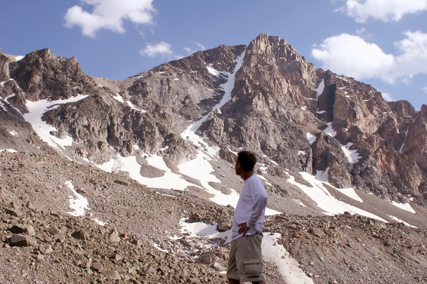 pico de venado de cola blanca, montana - Foto, Imagen