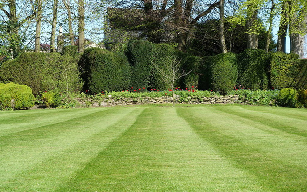 tranquilo plano panorámico de hermoso jardín con césped plano verde
 - Foto, Imagen