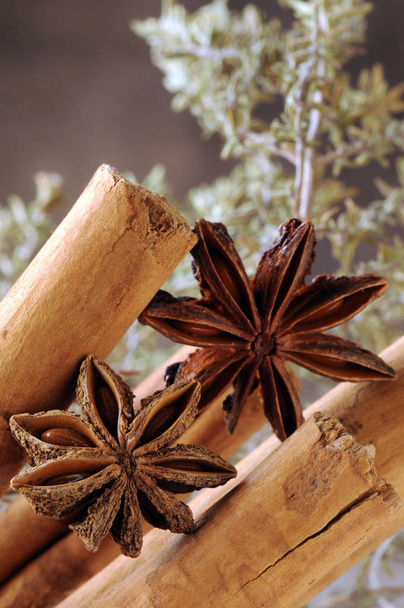 Cinnamon with star anise - Photo, Image
