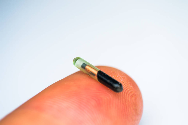 foto de primer plano de un microchip para mascotas en el dedo humano
 - Foto, Imagen