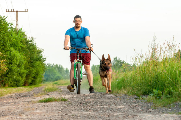 Blick auf einen Hund und einen Mann auf einem Fahrrad beim Training eines Schäfers - Foto, Bild