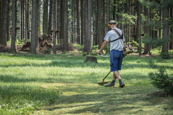 Mowing grasses in a meadow in the forest. Preparing for relaxation zone for rest in nature. Grill, sport, relax - Photo, Image