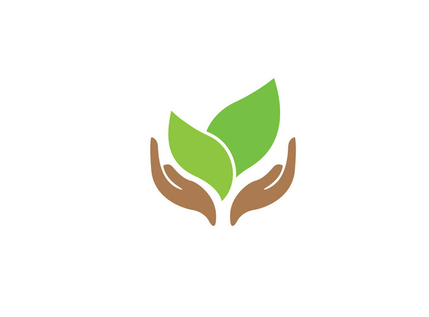 Hands holding green leaves logo on white background  - Vektor, Bild